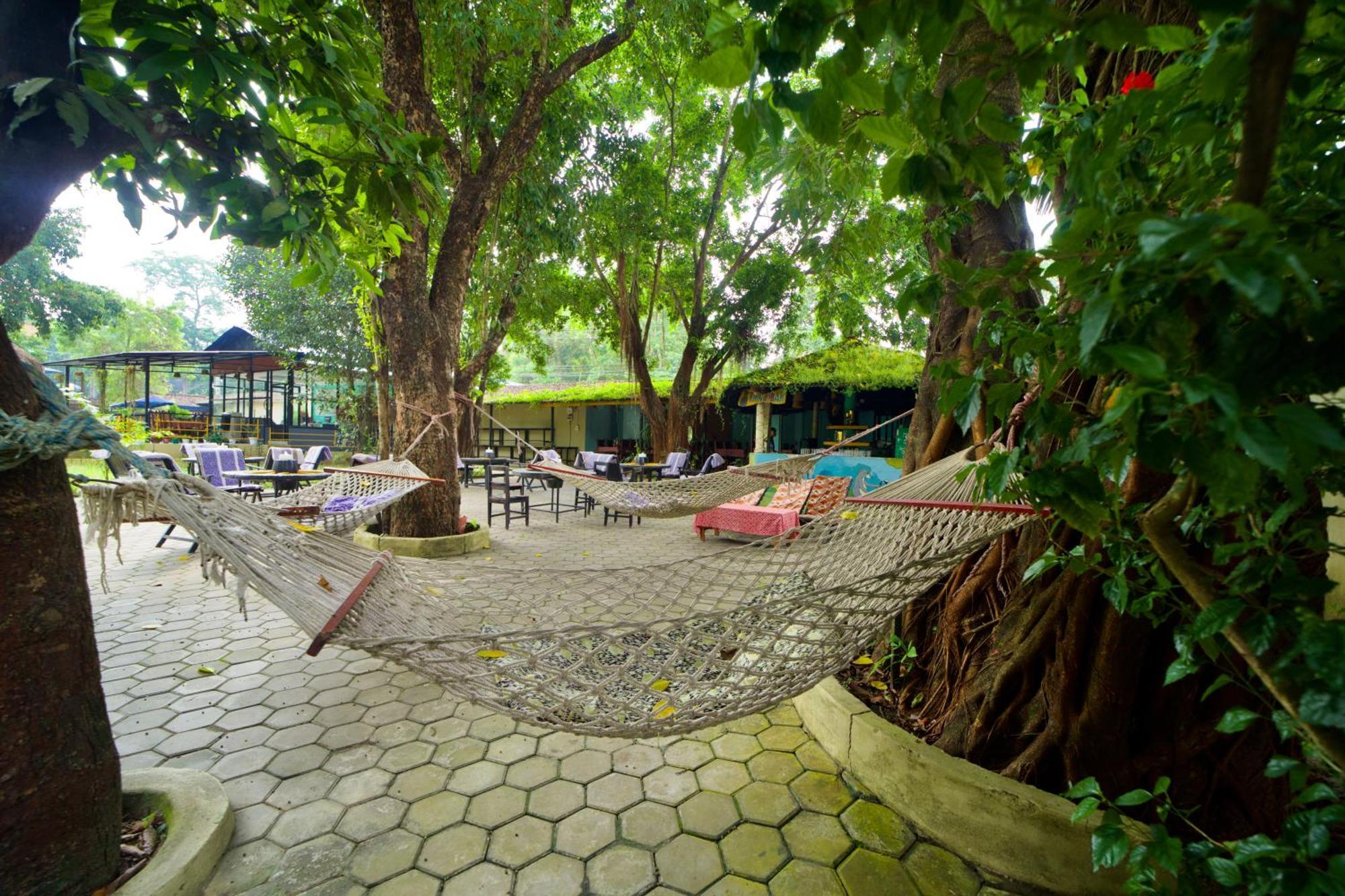 Chitwan Gaida Lodge - Animal Lovers & Birdwatchers Paradise Саураха Экстерьер фото